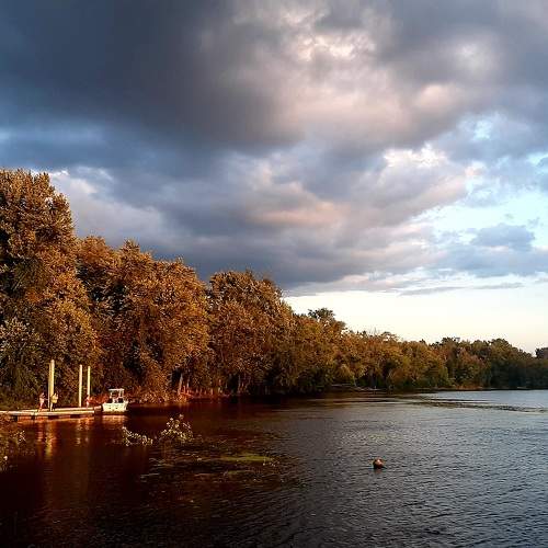 Photo #9564647