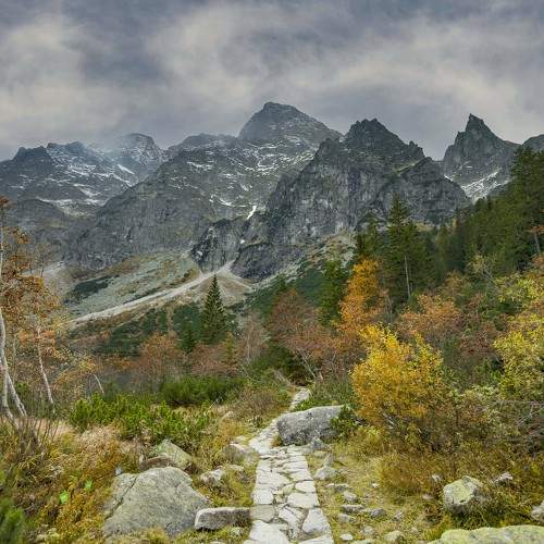 Photo #9564651