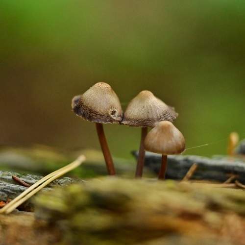 Photo #9564652