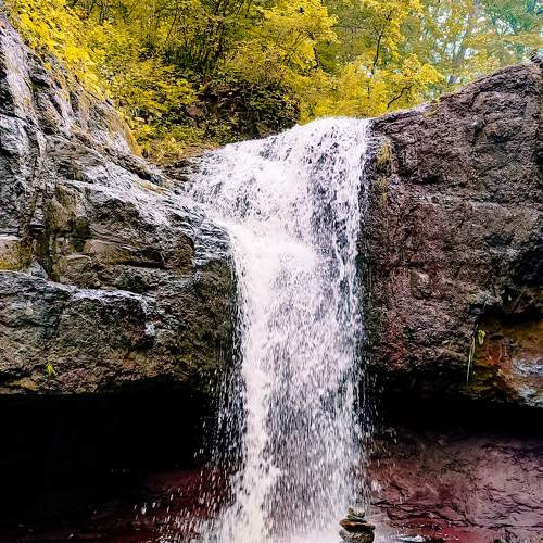 Photo #9564851