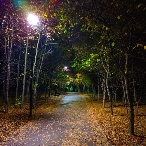 Photo #9565065