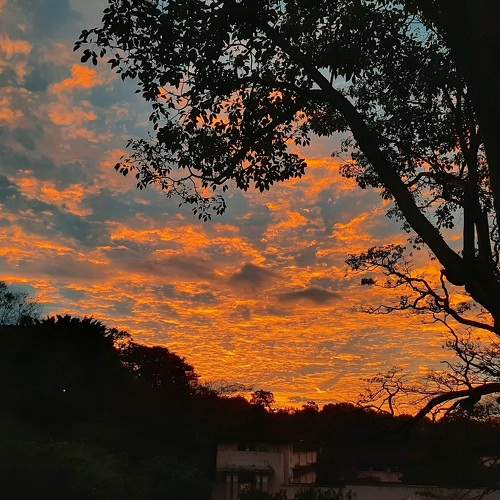 Photo #9565127