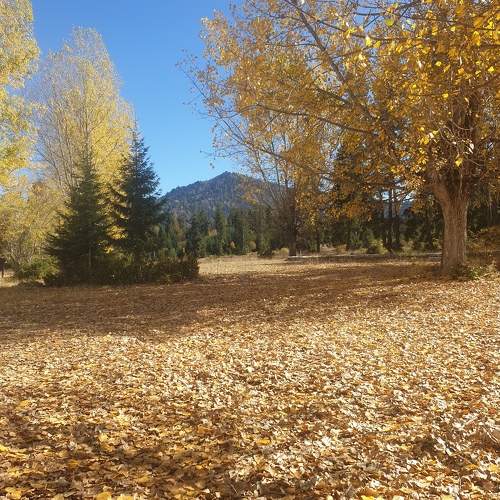 Photo #9565256