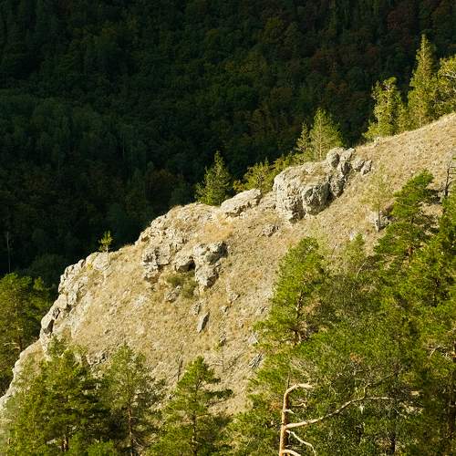 Photo #9565315