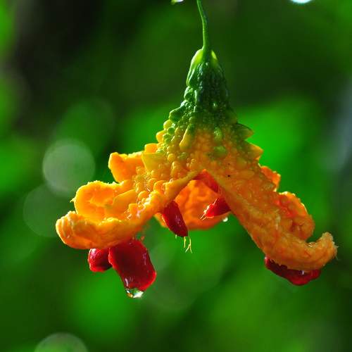Photo #9565634