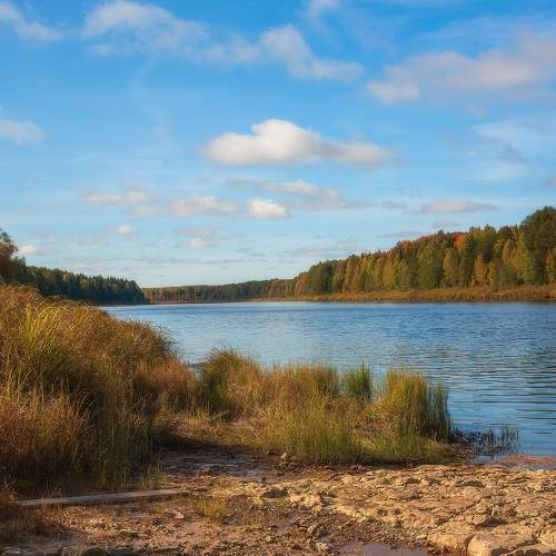 Photo #9565751
