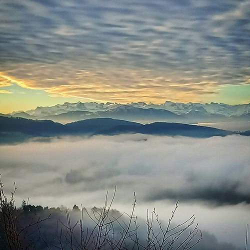 Photo #9565859
