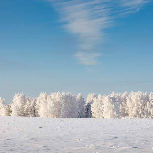 Photo #9565885