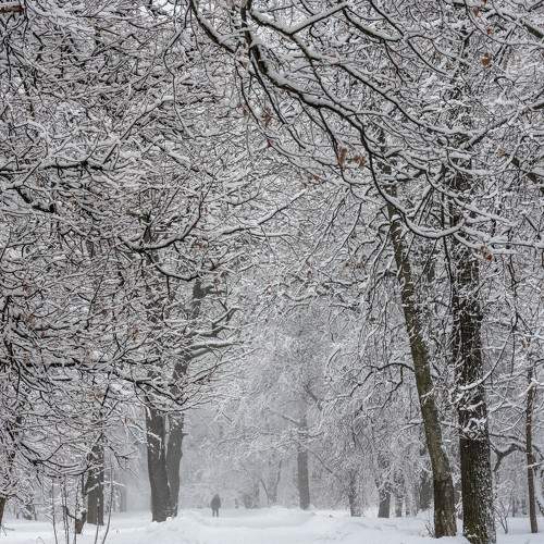 Photo #9566048