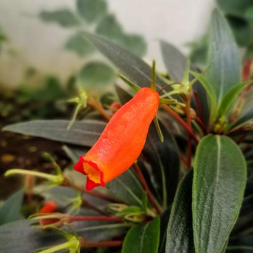 Photo #9566140