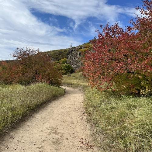 Photo #9566147
