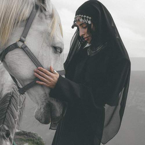 Photo #9566535