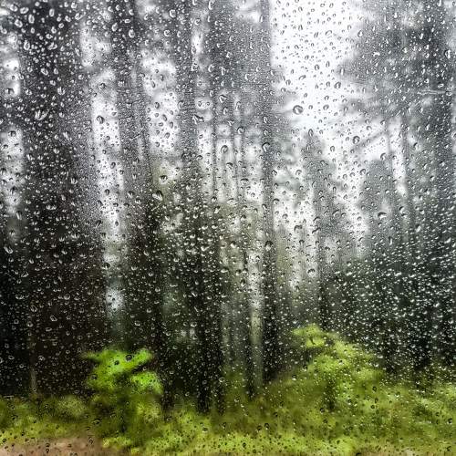 Photo #9566540