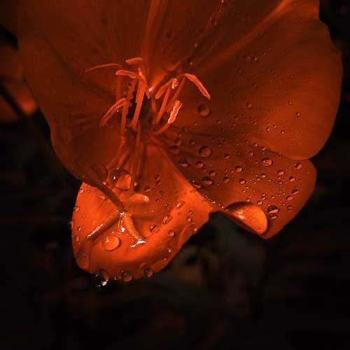 Photo #9566591