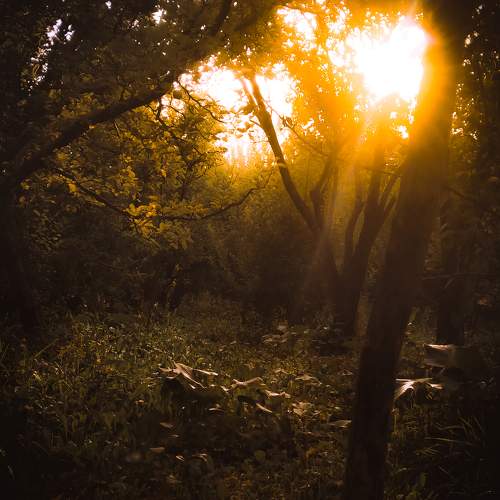 Photo #9566594