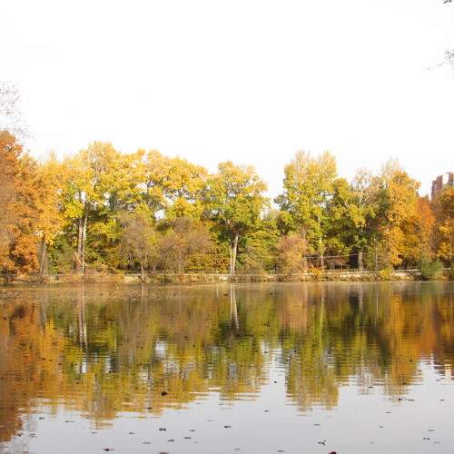 Photo #9566618