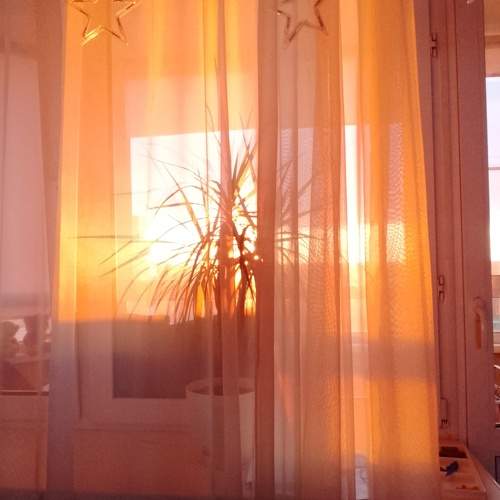 Photo #9566844
