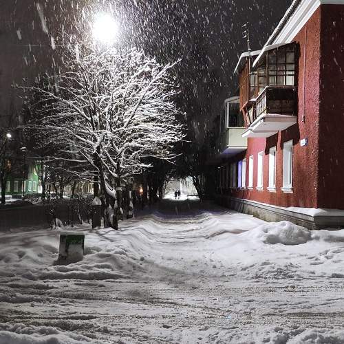 Photo #9566976