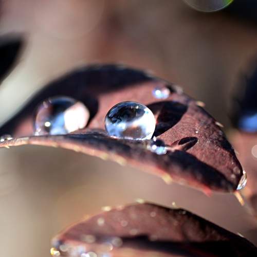 Photo #9567086