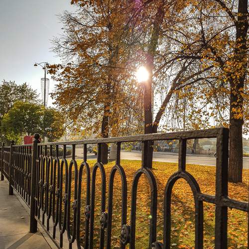 Photo #9567205