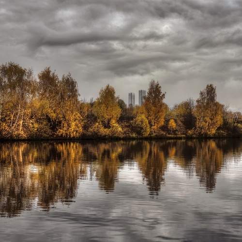 Photo #9567207