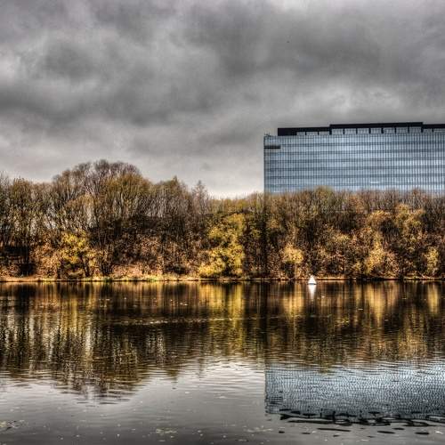 Photo #9567208