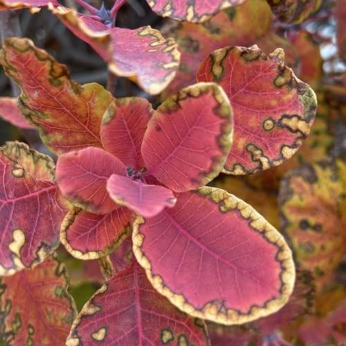 Photo #9567298