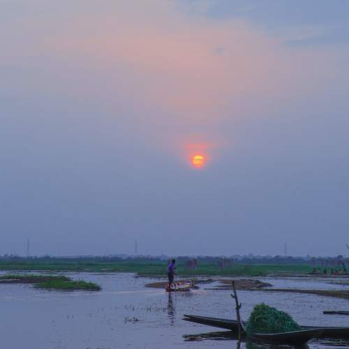Photo #9567331
