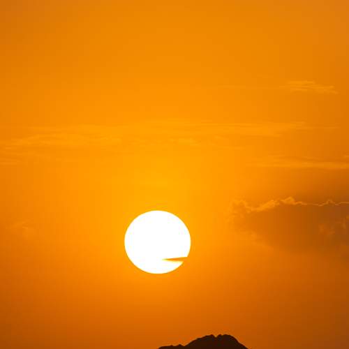Photo #9567499