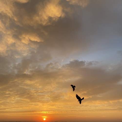 Photo #9567677