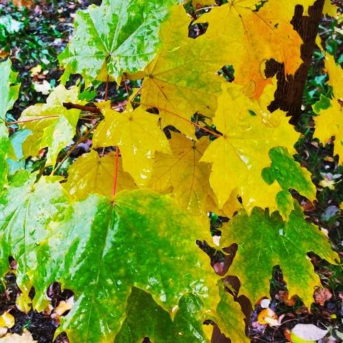 Photo #9567680