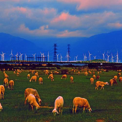 Photo #9567692