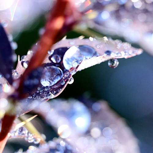 Photo #9567942