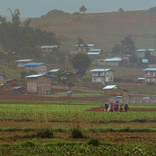Photo #9568201