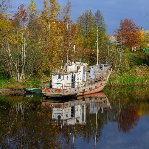 Photo #9568364