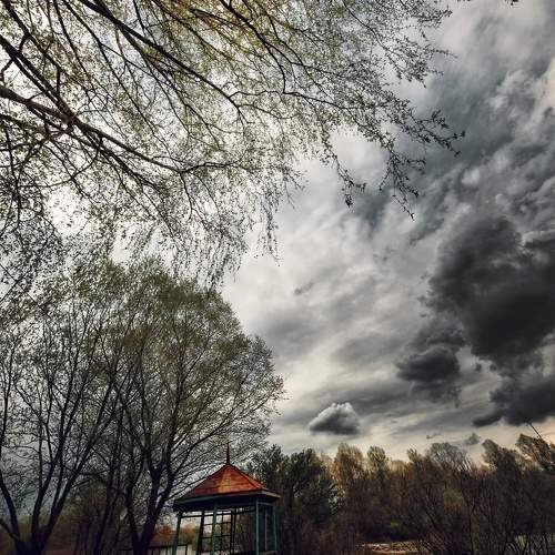 Photo #9568406