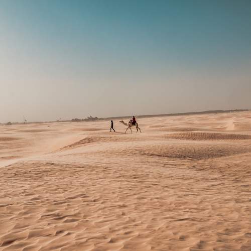 Photo #9568426