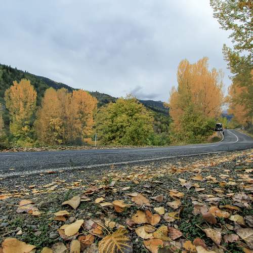 Photo #9568493