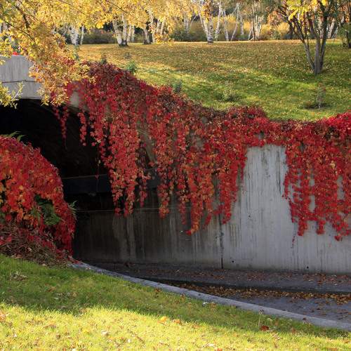 Photo #9568495