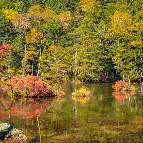 Photo #9568605