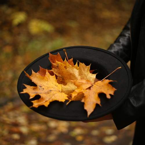 Photo #9568814