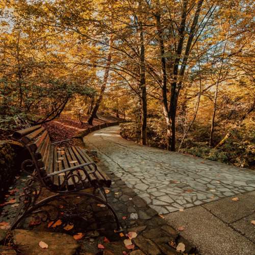Photo #9569039
