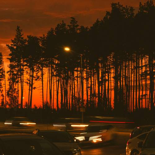 Photo #9569041
