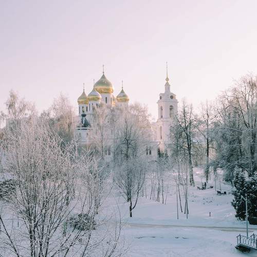 Photo #9569090