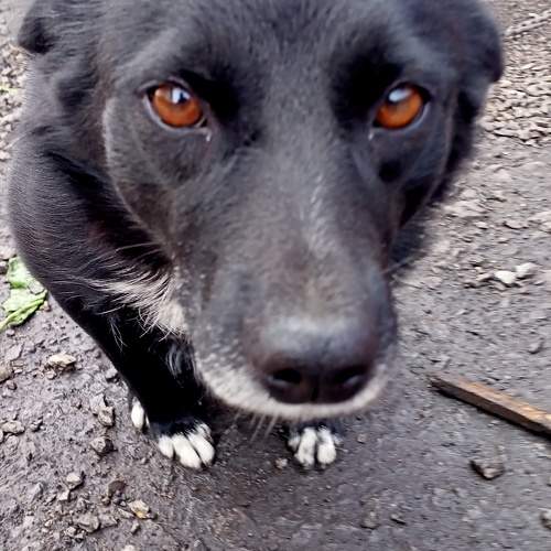 Photo #9569092