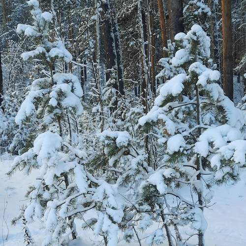 Photo #9569120