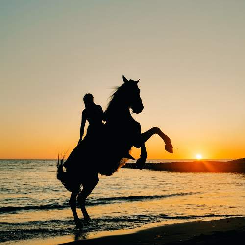 Photo #9569199