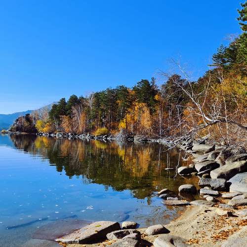 Photo #9569202