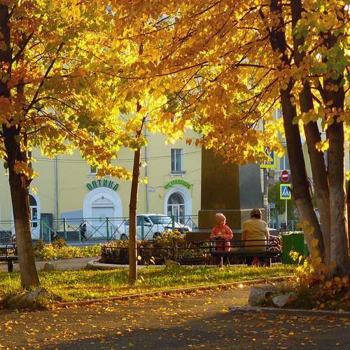 Photo #9569205
