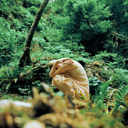 Photo #9569342